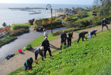 Rotarians help beautify Lyme Regis