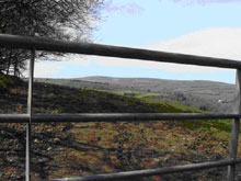 Exmoor view