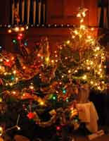 The first Lyme Regis Christmas Tree Festival 2007